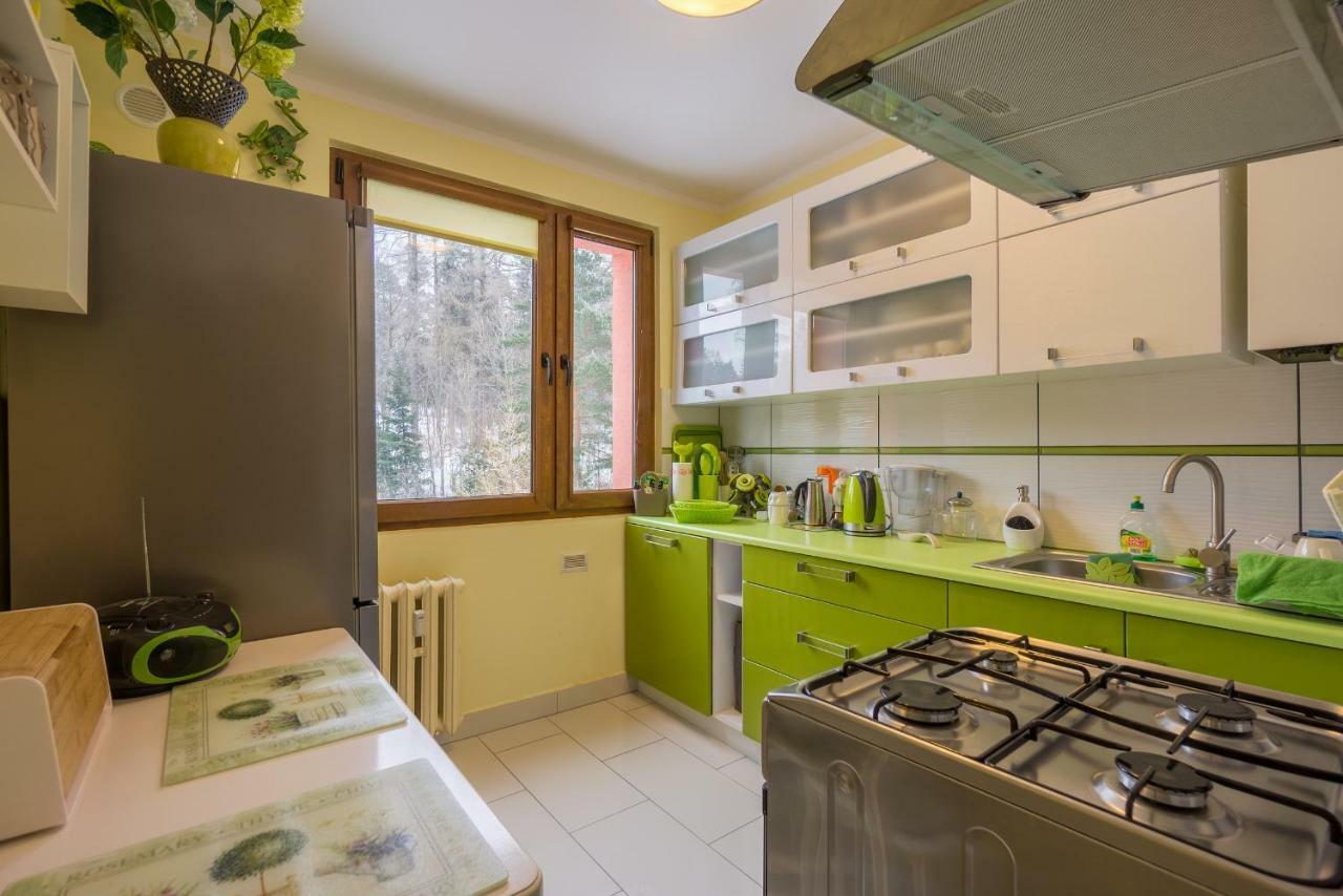 Apartament Sniezna Sowa Szklarska Poreba Dış mekan fotoğraf